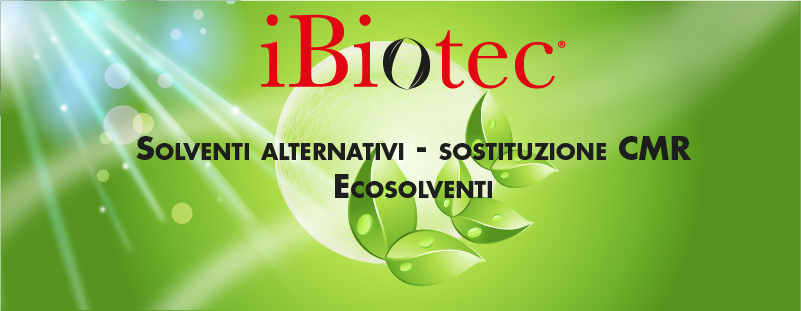 DECAPANTE senza simbolo di pericolo iBiotec Fast Clean Stripper per poliuretani e resine epossidiche